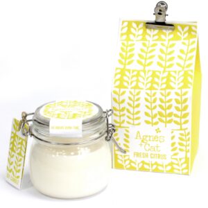 Kilner Jar Candle - Fresh Citrus by Agnes + Cat